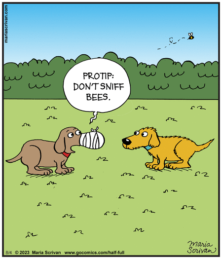 Half Full Comic Strip for August 04, 2023 