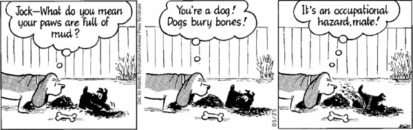 Fred Basset Comic Strip for May 25, 2007 