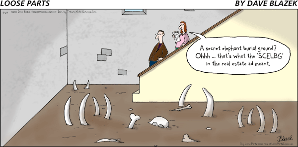 Loose Parts Comic Strip for May 29, 2011 