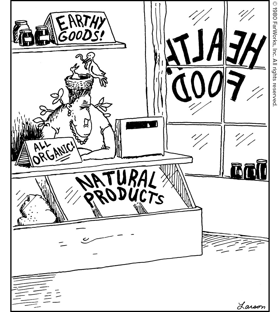 HEALTH FOOD EARTHY GOODS! ALL ORGANIC! NATURAL PRODUCTS