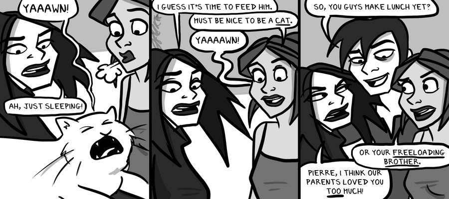 C'est la Vie Comic Strip for January 22, 2025 