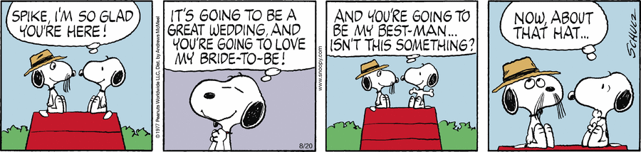 Peanuts Comic Strip for August 20, 2024 