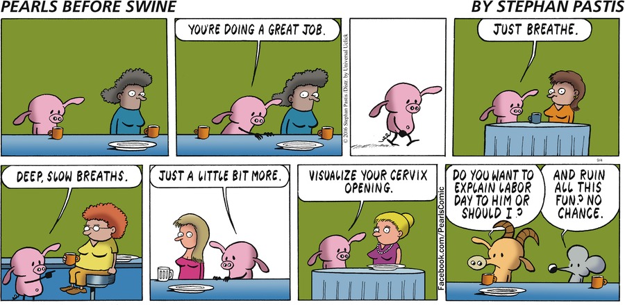 Pearls Before Swine Comic Strip for September 04, 2016 