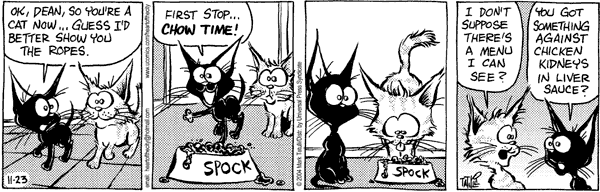 Heart of the City Comic Strip for November 23, 2004 