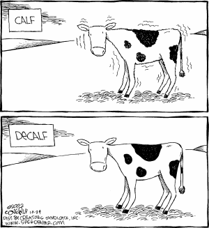 Speed Bump Comic Strip for October 24, 2002 