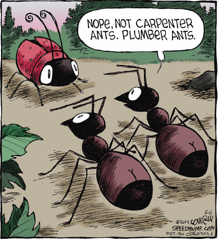 Speed Bump Comic Strip for June 06, 2013 