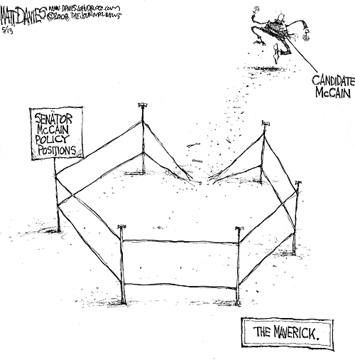 Matt Davies Comic Strip for May 13, 2008 