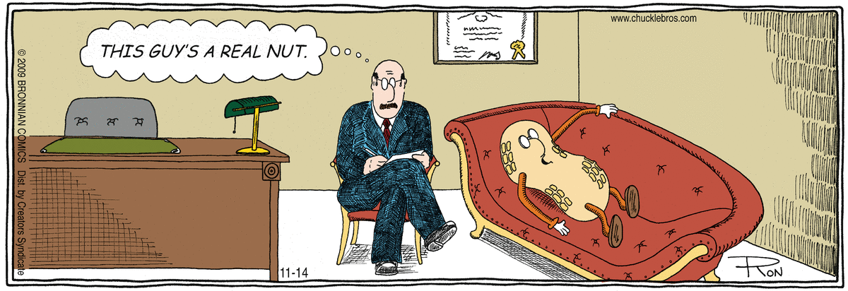 Chuckle Bros Comic Strip for November 14, 2009 