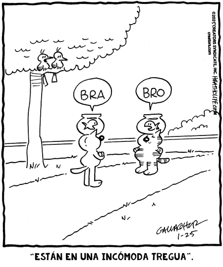 Heathcliff en Español Comic Strip for January 25, 2025 