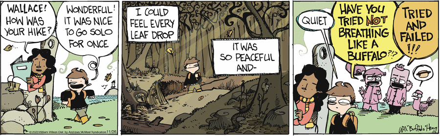 Wallace the Brave Comic Strip for November 26, 2020 