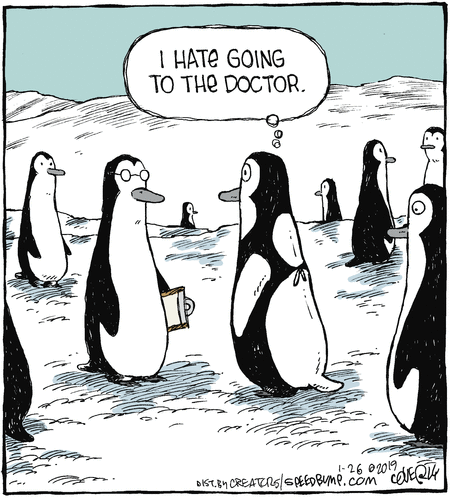 Speed Bump Comic Strip for January 26, 2019 