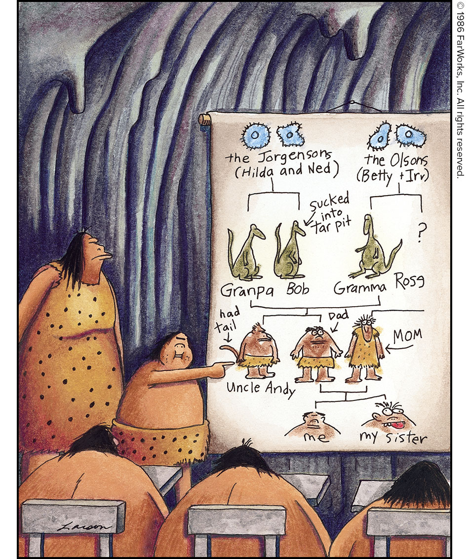the Jorgensons (Hilda and Ned) / the Olsons (Betty + Irv / sucked into tar pit / Granpa Bob / Gramma Rose / had tail / Dad / Mom / Uncle Andy / me / my sister