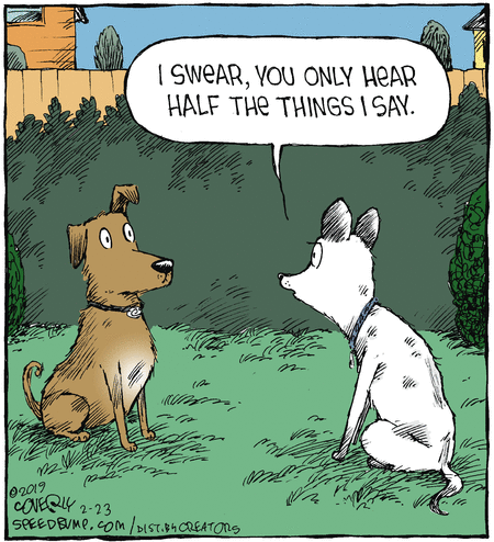 Speed Bump Comic Strip for February 23, 2019 