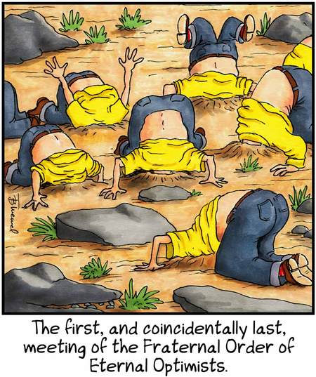 Birdbrains Comic Strip for January 23, 2025 