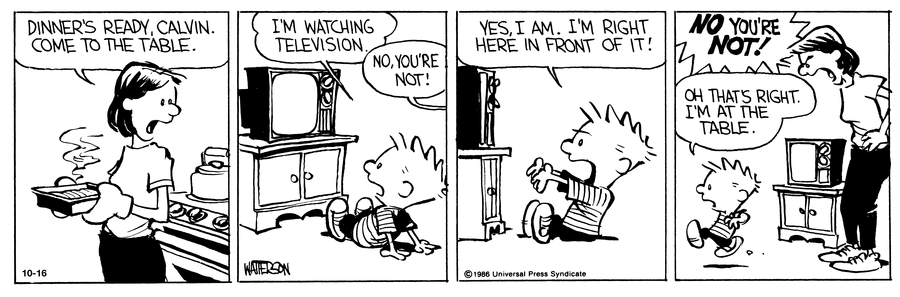 Calvin and Hobbes Comic Strip for October 16, 1991 