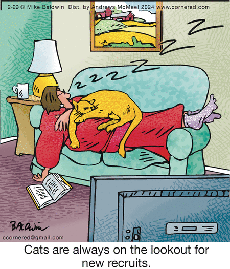 Cornered Comic Strip for February 29, 2024 