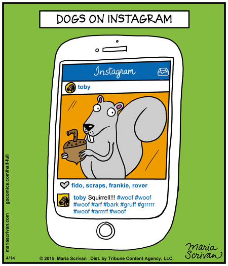 Half Full Comic Strip for April 14, 2015 