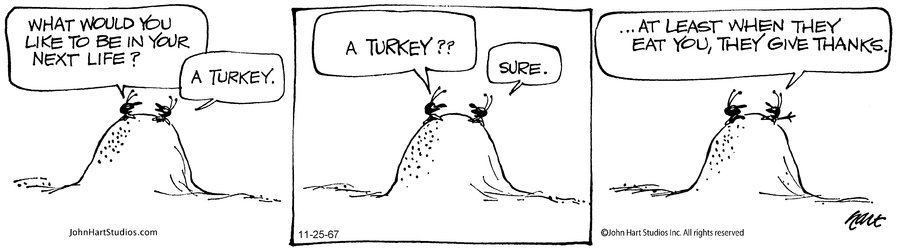 Back to B.C. Comic Strip for November 30, 2024 