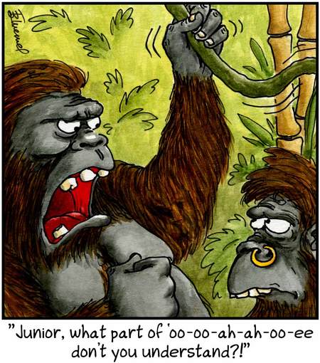 Birdbrains Comic Strip for April 17, 2014 