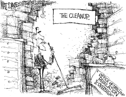 Matt Davies Comic Strip for June 01, 2010 