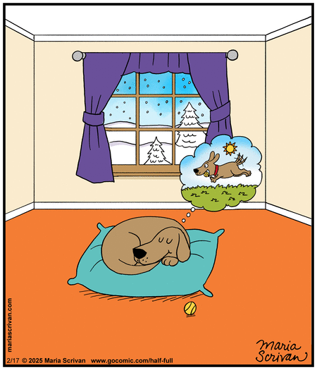 Half Full Comic Strip for February 17, 2025 