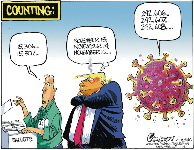 Stuart Carlson Comic Strip for November 13, 2020 