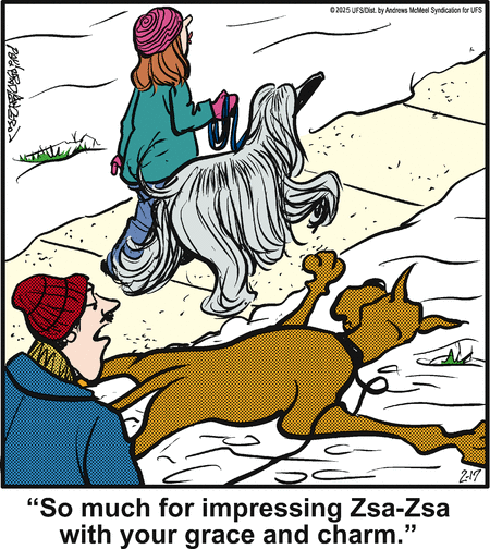 Marmaduke Comic Strip for February 17, 2025 