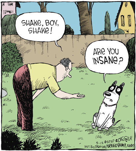 Speed Bump Comic Strip for May 12, 2020 