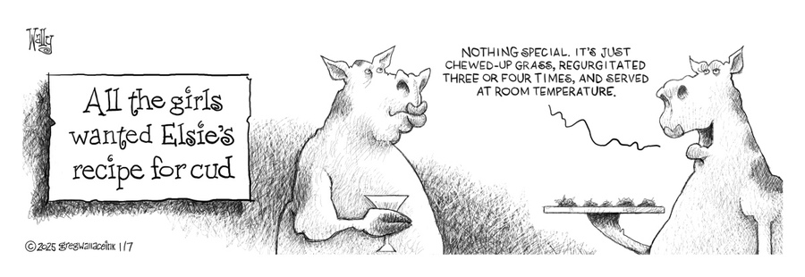 Nothing is Not Something Comic Strip for January 07, 2025 