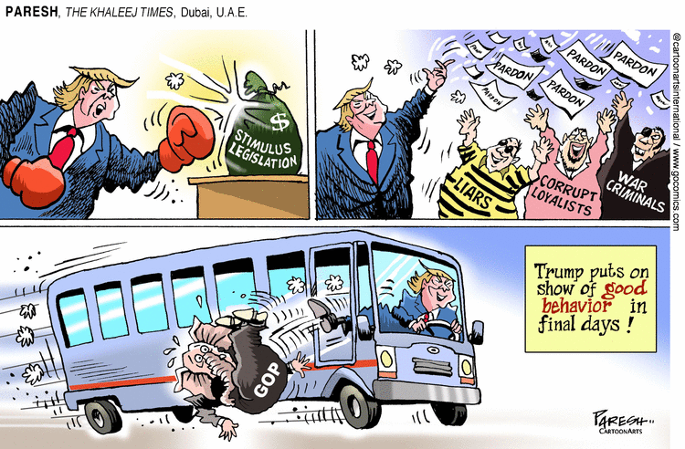 ViewsAmerica Comic Strip for December 25, 2020 