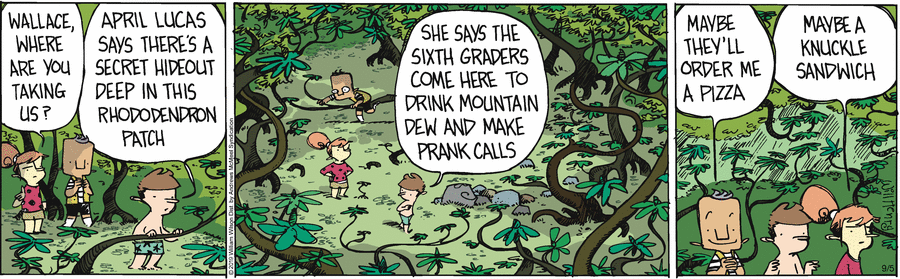 Wallace the Brave Comic Strip for September 05, 2019 