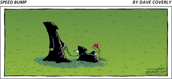 Speed Bump Comic Strip for April 11, 2010 