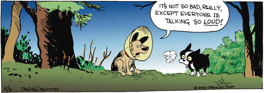 Zack Hill Comic Strip for February 06, 2025 