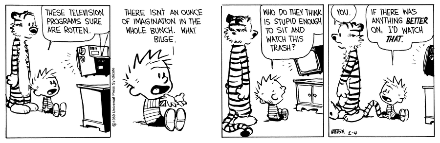 Calvin and Hobbes Comic Strip for February 04, 1989 