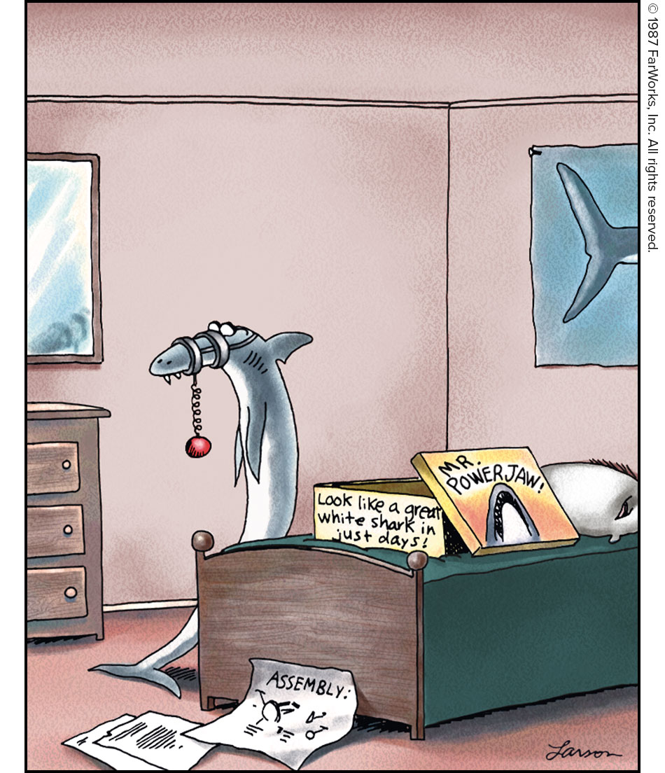 MR. POWER JAW! / Look like a great white shark in just days! / ASSEMBLY: