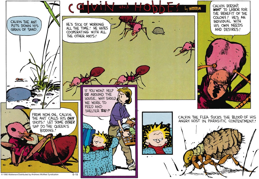 Calvin and Hobbes Comic Strip for June 19, 2022 