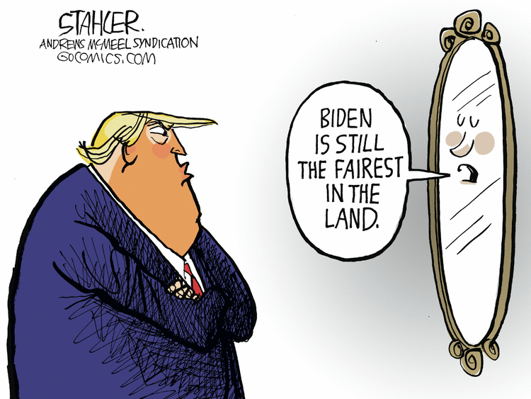 Jeff Stahler Comic Strip for November 24, 2020 