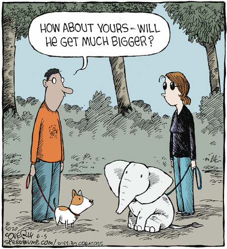 Speed Bump Comic Strip for June 05, 2020 