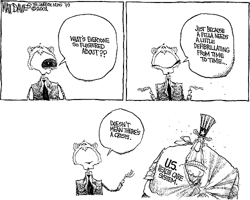 Matt Davies Comic Strip for July 03, 2001 