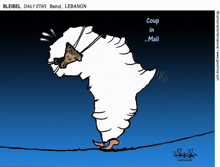 ViewsAfrica Comic Strip for May 25, 2021 