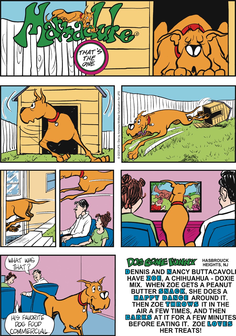 Marmaduke Comic Strip for December 03, 2023 