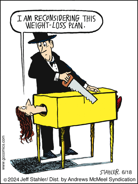 Moderately Confused Comic Strip for June 18, 2024 