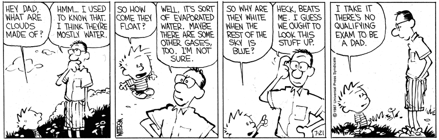 Calvin and Hobbes Comic Strip for July 21, 1987 