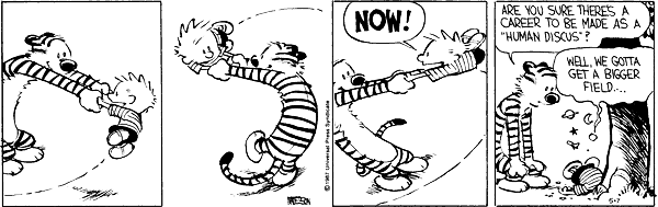 Calvin and Hobbes Comic Strip for June 19, 2008 