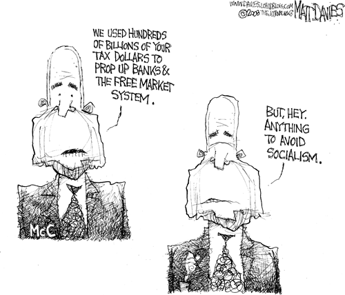 Matt Davies Comic Strip for October 22, 2008 