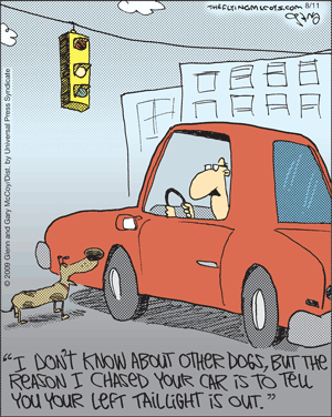 The Flying McCoys Comic Strip for August 11, 2009 