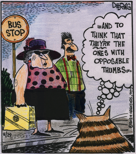 Strange Brew Comic Strip for November 29, 2024 