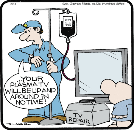 Ziggy Comic Strip for May 31, 2017 