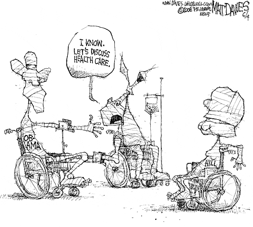 Matt Davies Comic Strip for June 04, 2008 