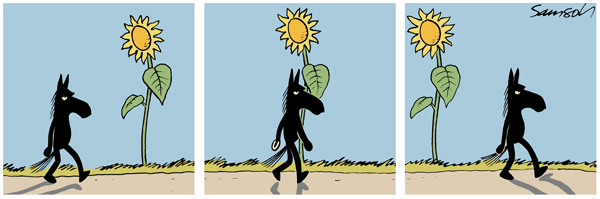 Dark Side of the Horse Comic Strip for November 27, 2010 